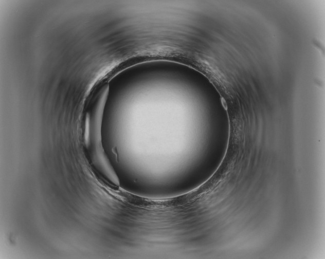 X0000091190392200708161555