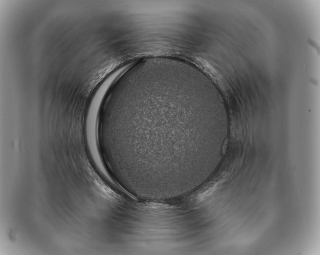 X0000091190393200708161555