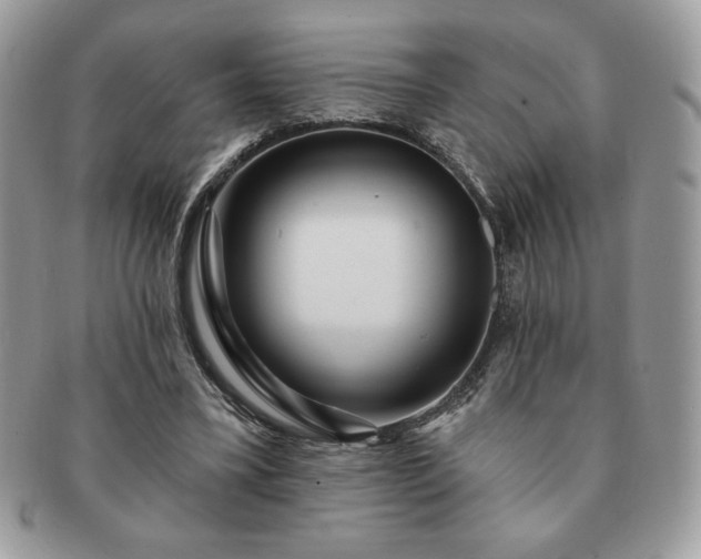 X0000091190395200708161555