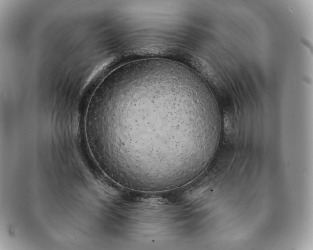 X0000091190396200708161555