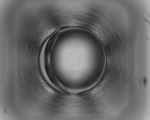 X0000091190397200708161555