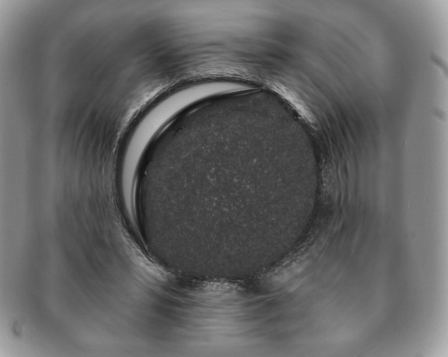 X0000091190399200708161555
