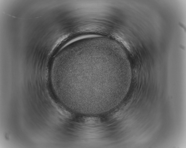 X0000091190400200708161555