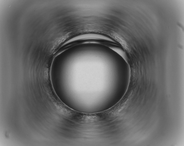 X0000091190401200708161555
