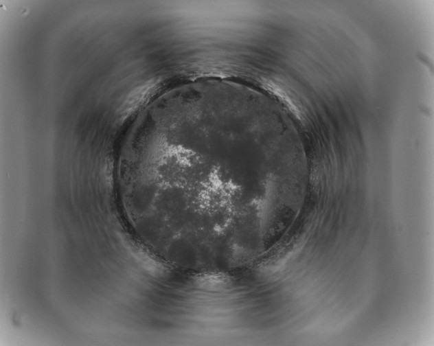 X0000091190402200708161555