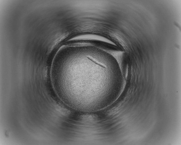 X0000091190404200708161555