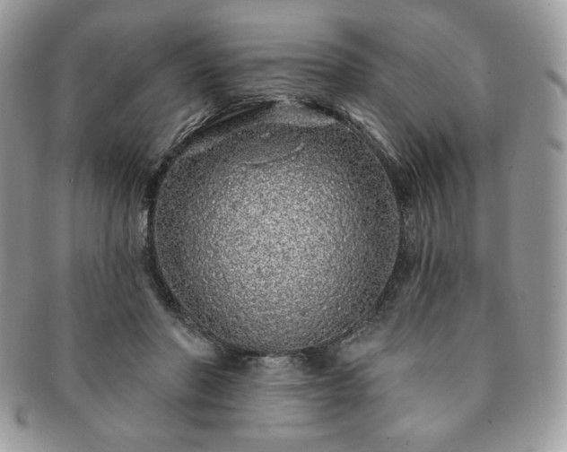 X0000091190406200708161555