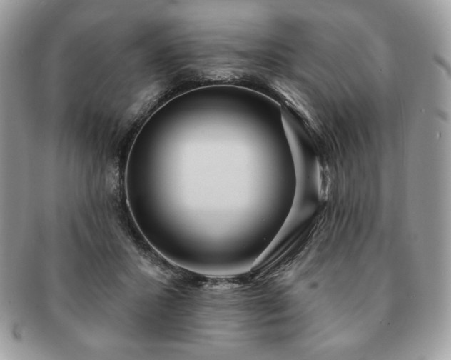 X0000091190407200708161555