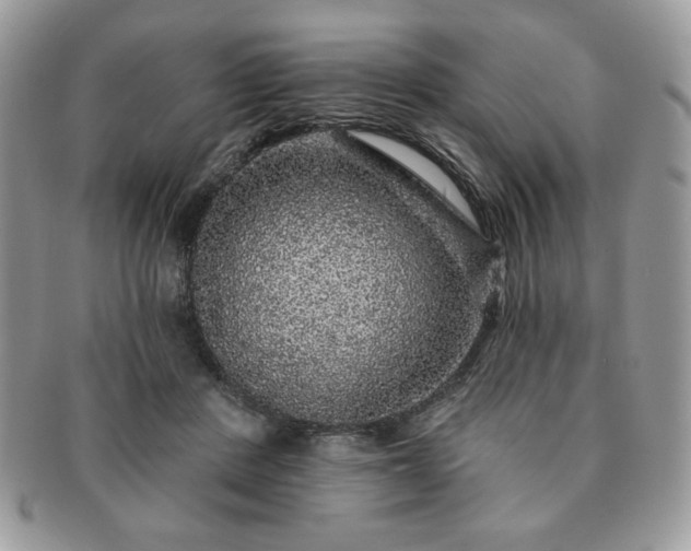 X0000091190408200708161555