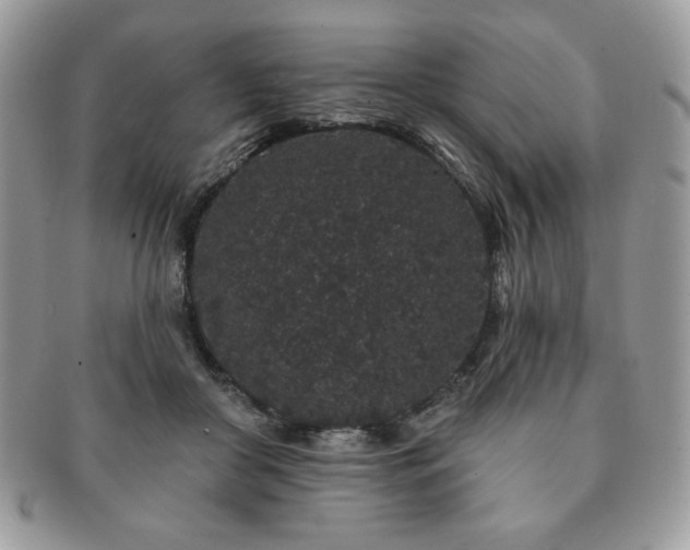 X0000091190410200708161555