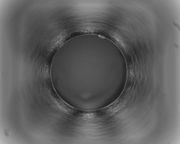 X0000091190411200708161555