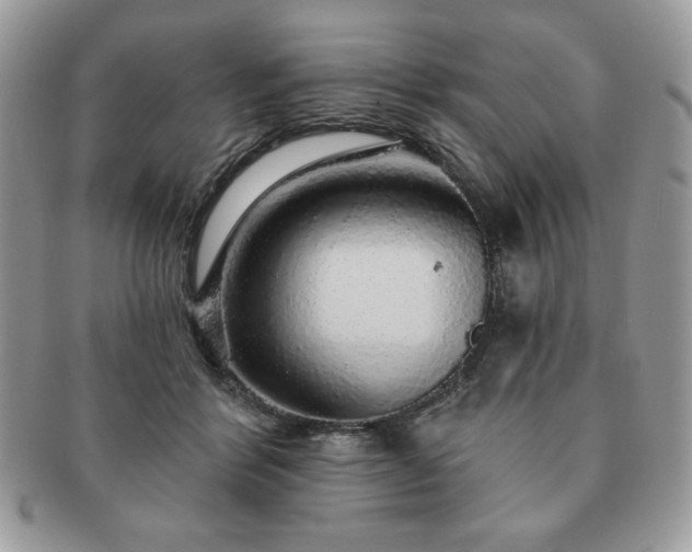 X0000091190412200708161555