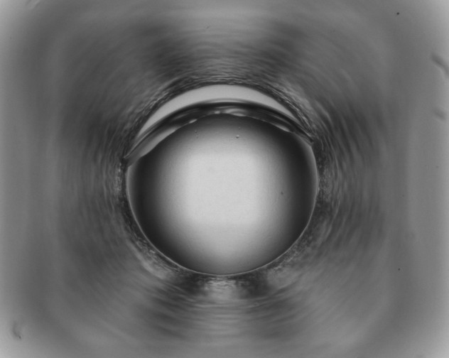X0000091190413200708161555