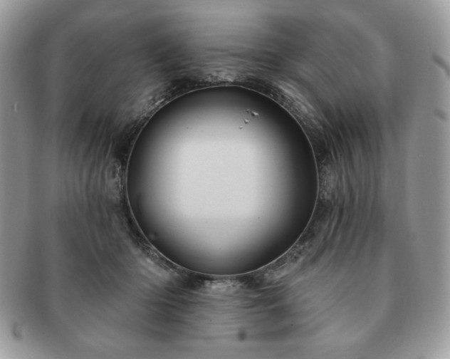 X0000091190414200708161555