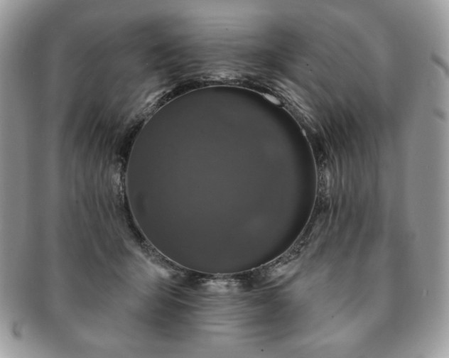 X0000091190415200708161555