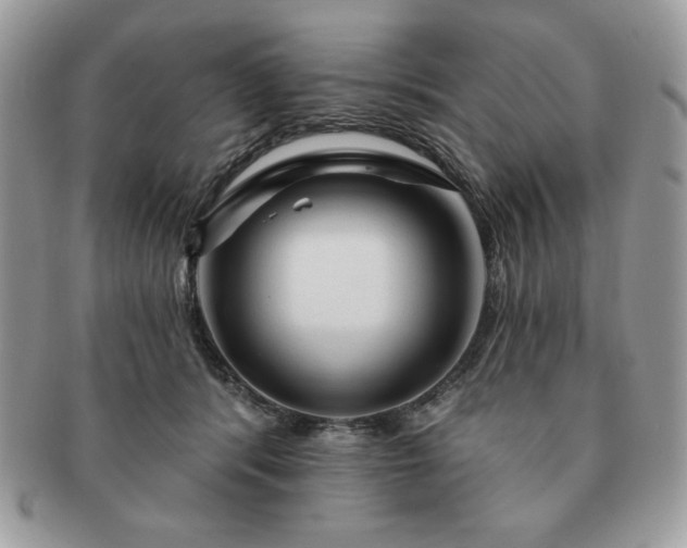X0000091190416200708161555