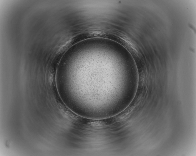 X0000091190417200708161555
