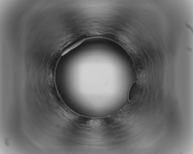 X0000091190418200708161555