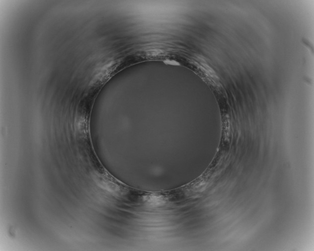 X0000091190419200708161555