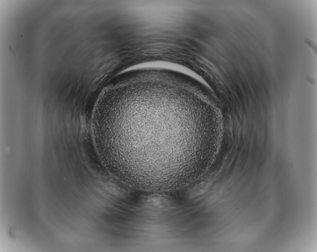 X0000091190420200708161555