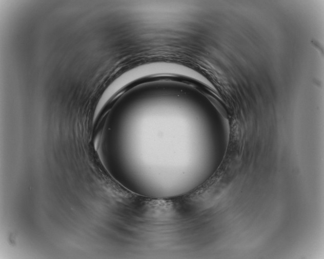 X0000091190421200708161555