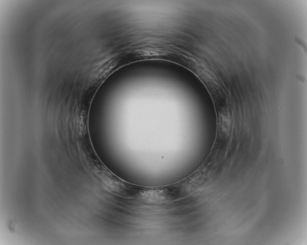 X0000091190422200708161555