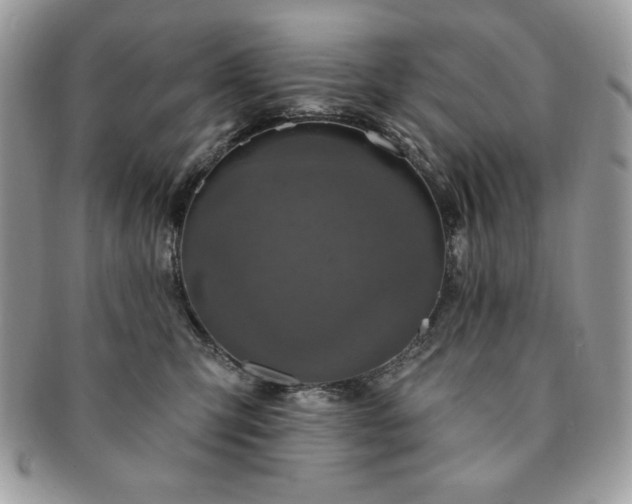 X0000091190423200708161555