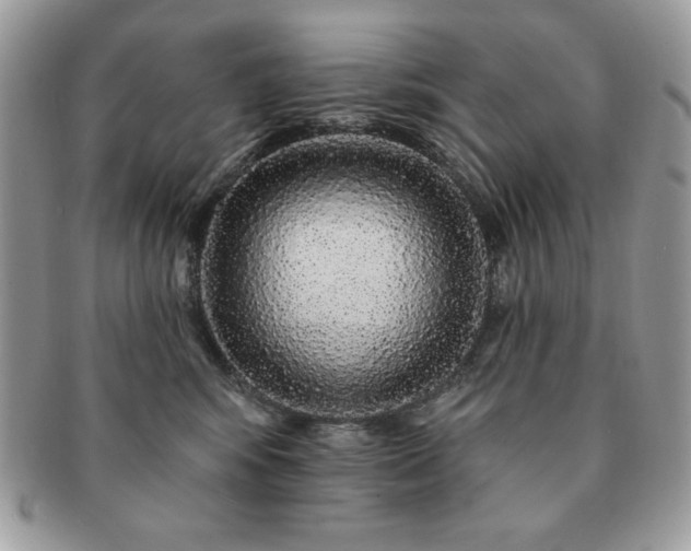 X0000091190424200708161555