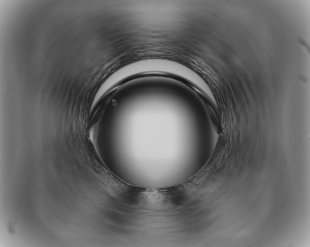 X0000091190425200708161555