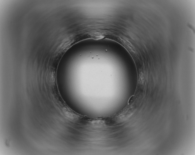 X0000091190426200708161555