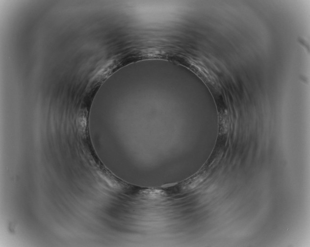 X0000091190427200708161555