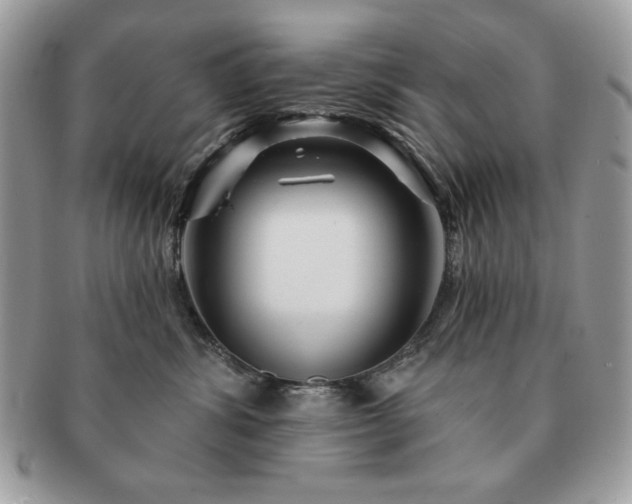 X0000091190428200708161555