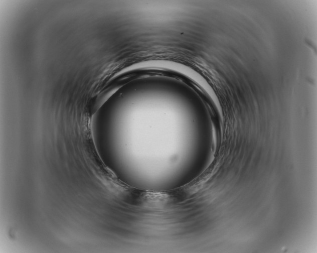 X0000091190429200708161555