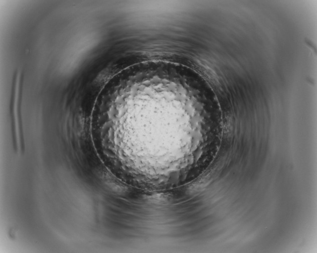 X0000091190430200708161555