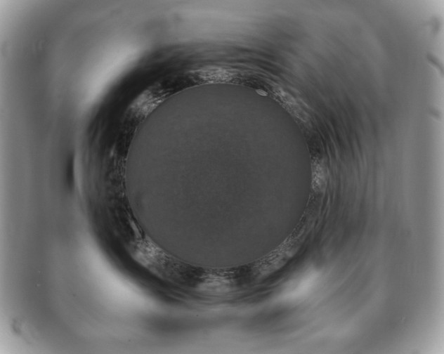 X0000091190431200708161555