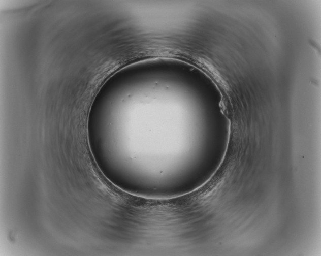 X0000091190433200708161554
