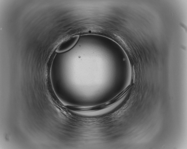 X0000091190435200708161554