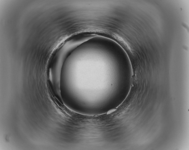 X0000091190436200708161554