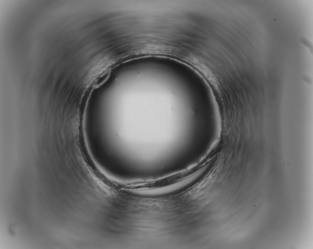 X0000091190437200708161554