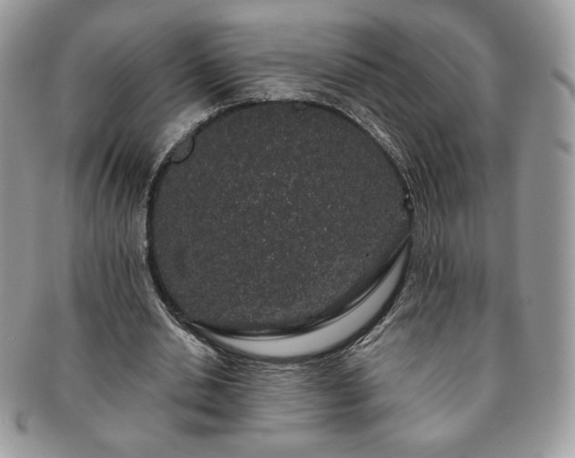 X0000091190438200708161554