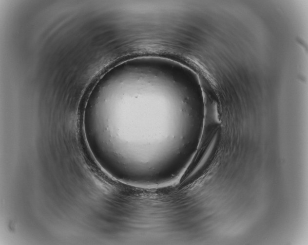 X0000091190439200708161554