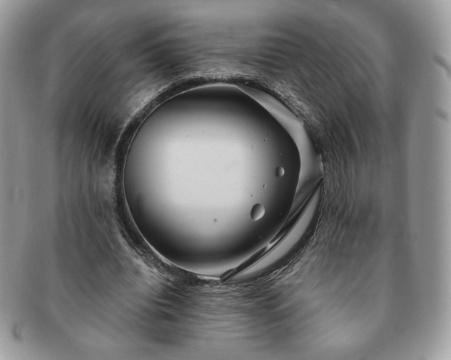 X0000091190440200708161554