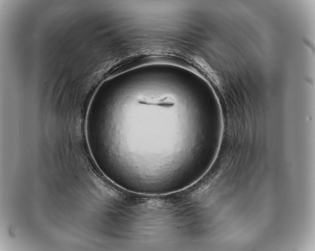 X0000091190441200708161554