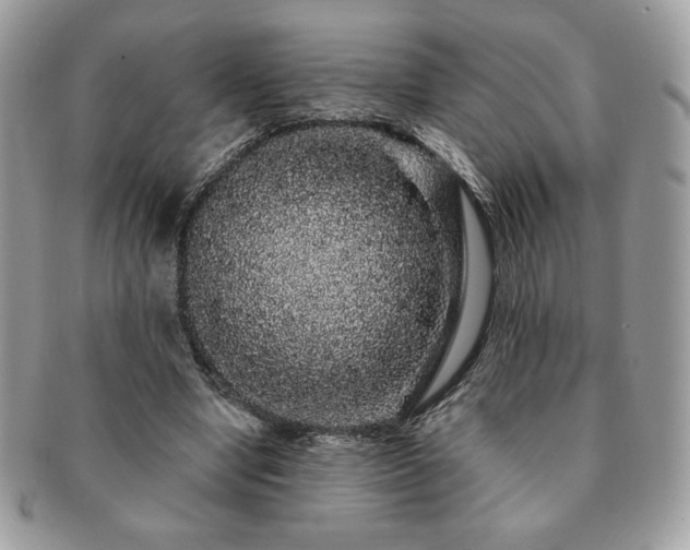 X0000091190442200708161554