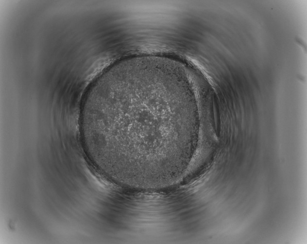 X0000091190443200708161554