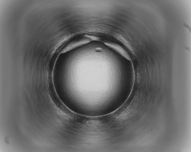 X0000091190444200708161554