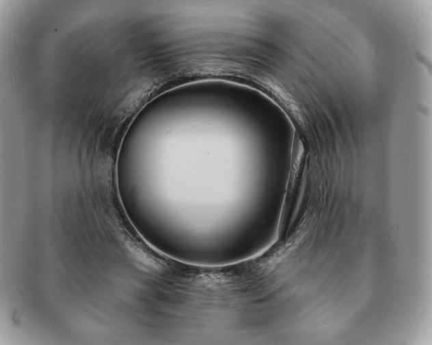 X0000091190445200708161554