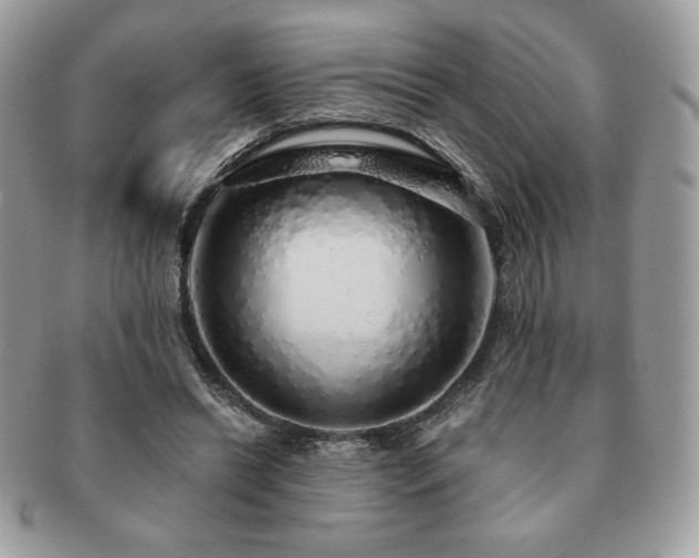X0000091190446200708161554