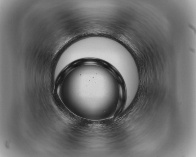 X0000091190448200708161554