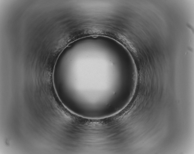 X0000091190449200708161554